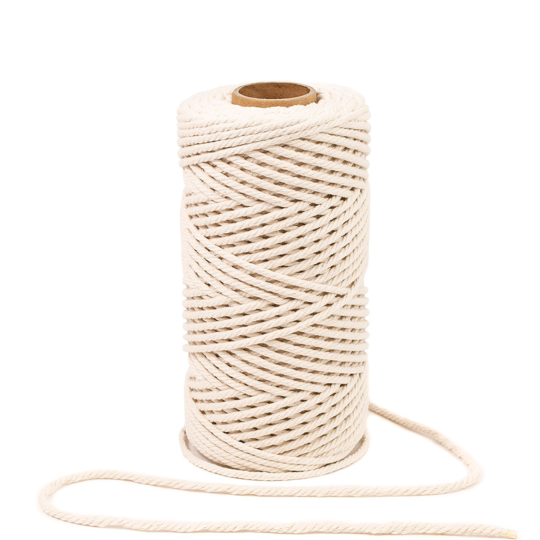 Macramé Magic: Plants & Sparkle (10/05/26)