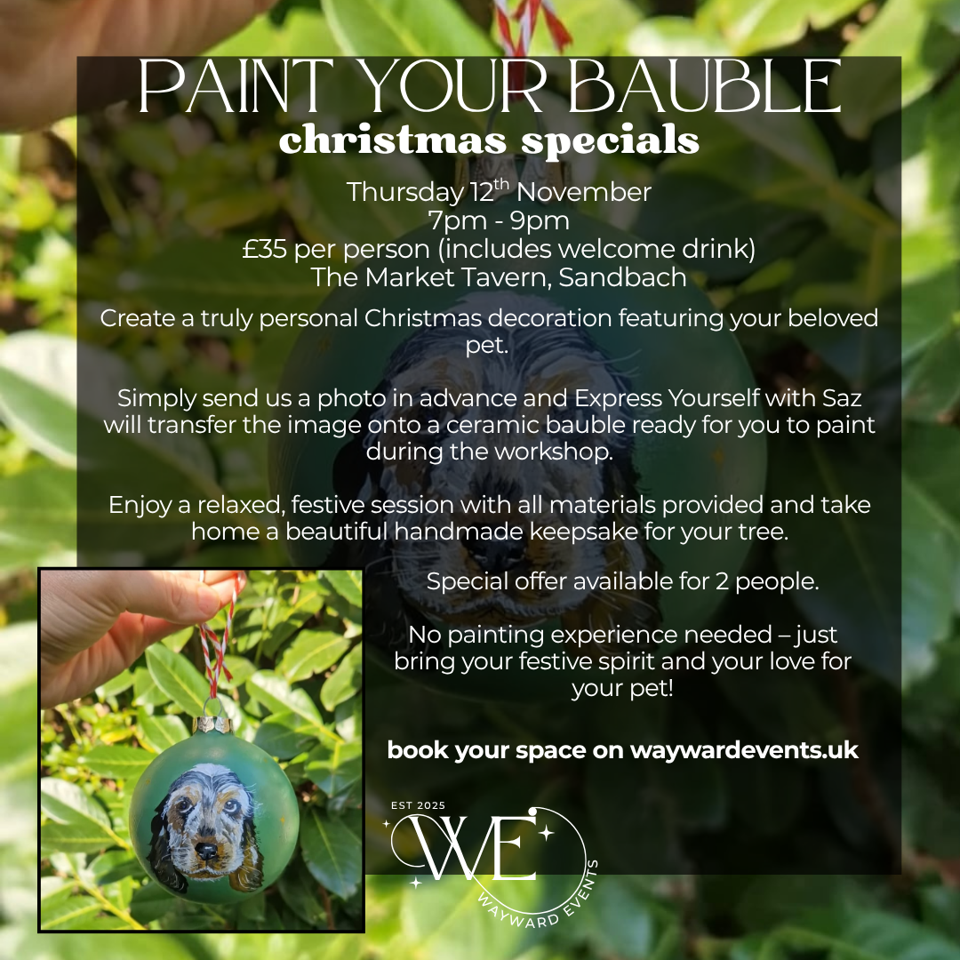 Paint your Bauble in Sandbach (12/11/26)