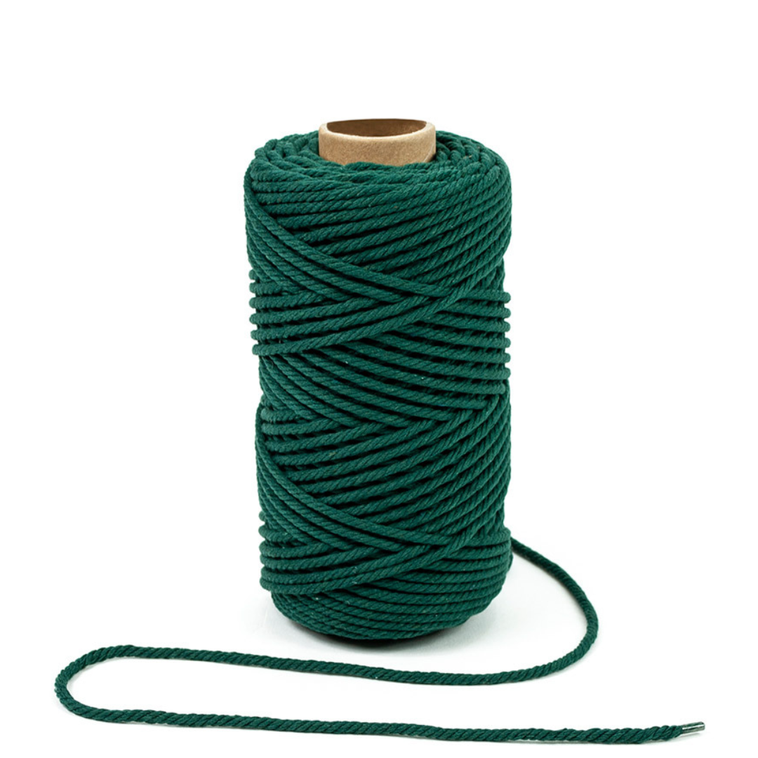 Macramé Magic: Plants & Sparkle (10/05/26)