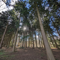 Wayward Strolls - Walk, Talk and Enjoy!