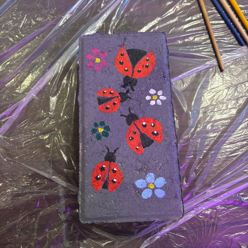 Painted Bricks: Family Event (13/08/26)