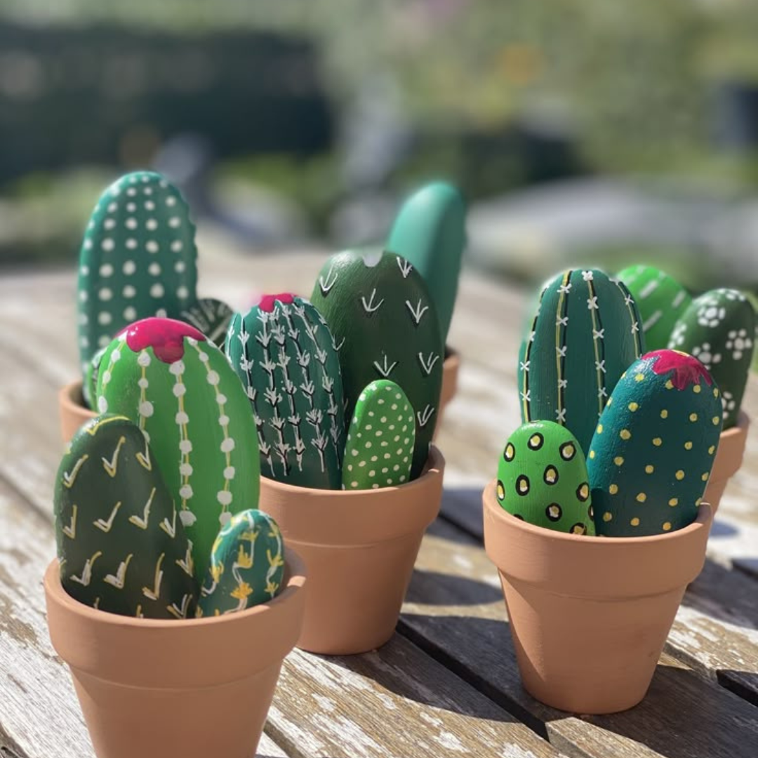 Create your own Cacti Plant Pot (20/04/26)