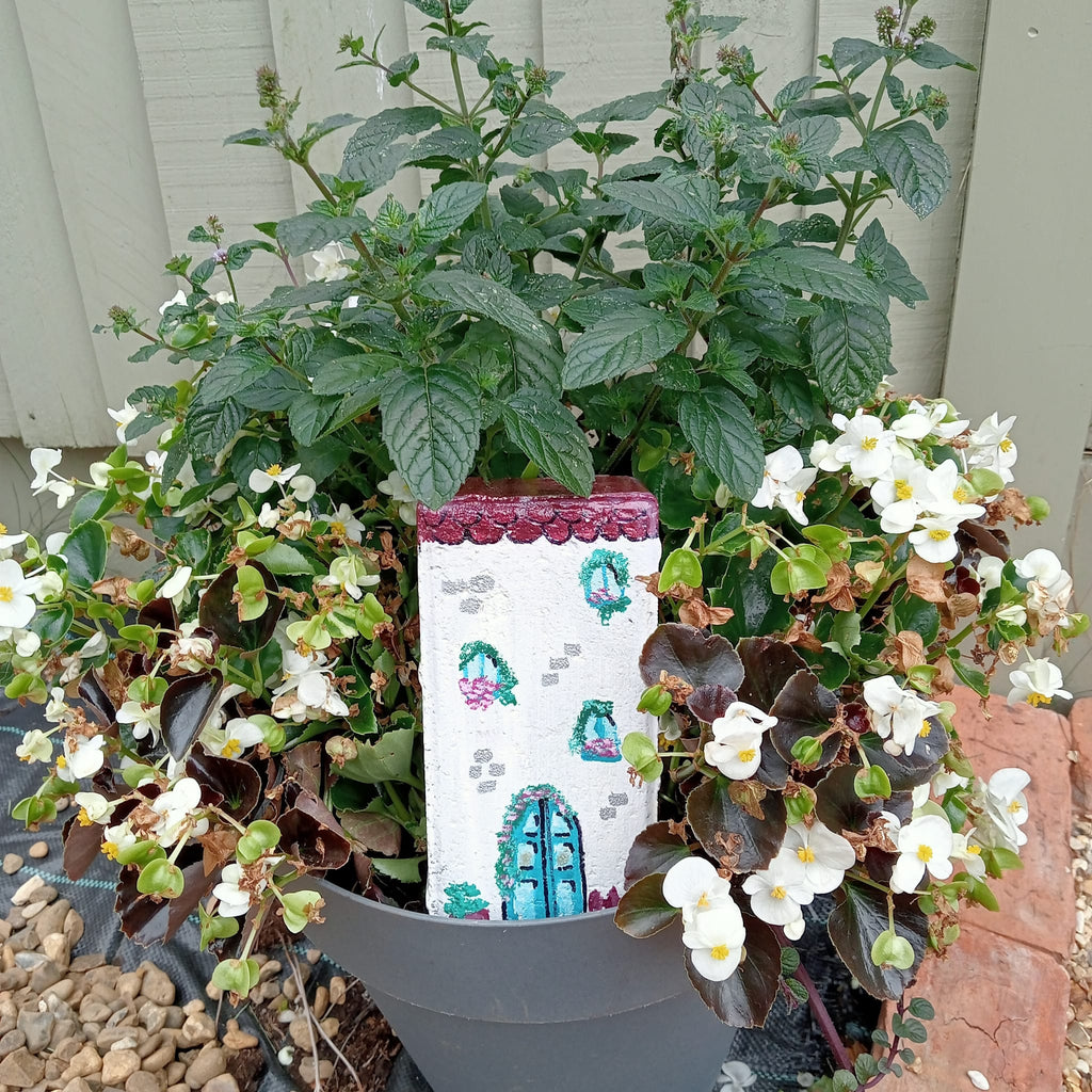 Painted Bricks: Family Event (13/08/26)