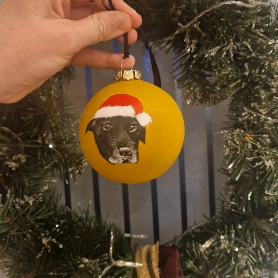 Paint your Bauble in Sandbach (12/11/26)