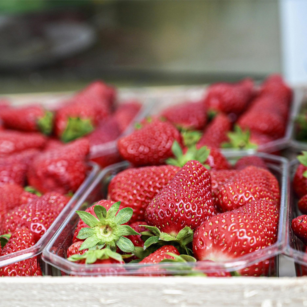 Strawberry Picking with Cake and a Drink (22/06/26)