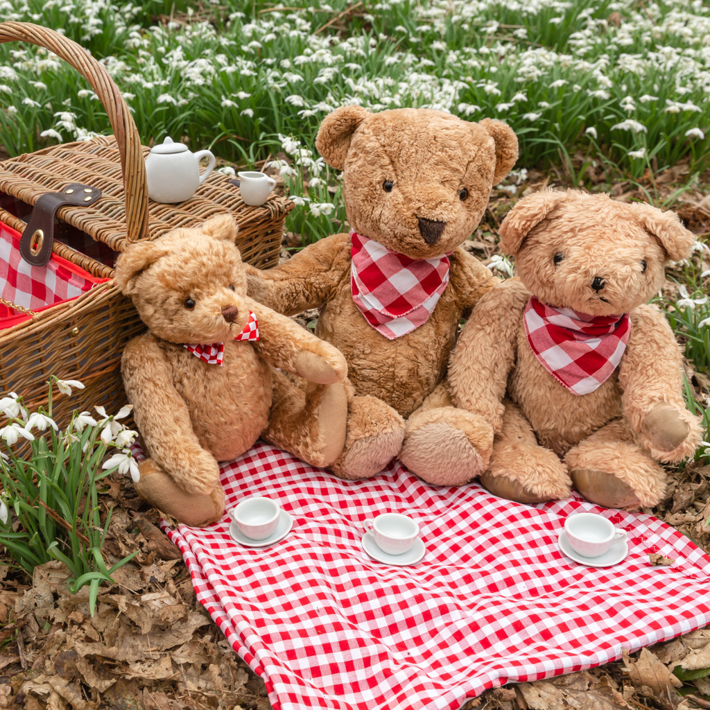 Teddy's Bear Picnic - Children's Event